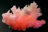 Pink Manganoan Calcite Crystal Cluster - Fluorescent! #361517-1